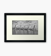 The Drink Framed Print