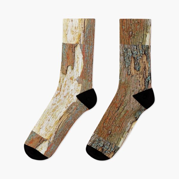 Item preview, Colors Of Eastern Sycamore I designed and sold by Deb Oppermann.