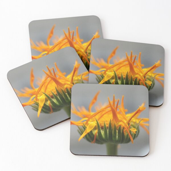 Item preview, Bad Hair Day designed and sold by Kasia Design.