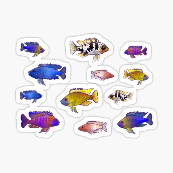 African Peacock Cichlids Sticker