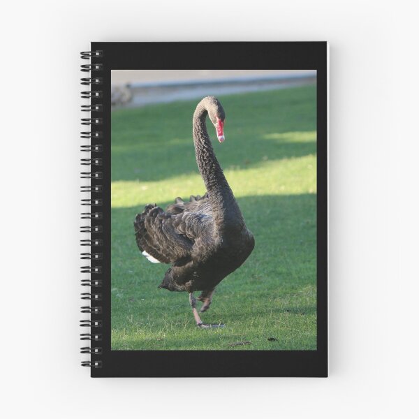 Item preview, Black Swan designed and sold by BarbaraWilliams.