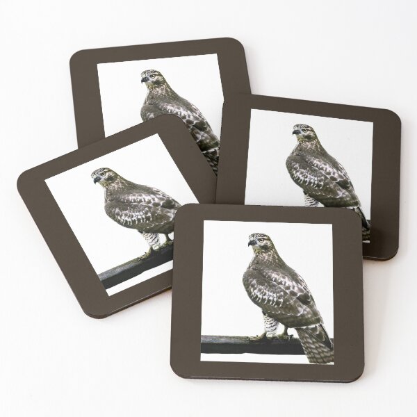 Item preview, Hawk designed and sold by Laurie Minor.