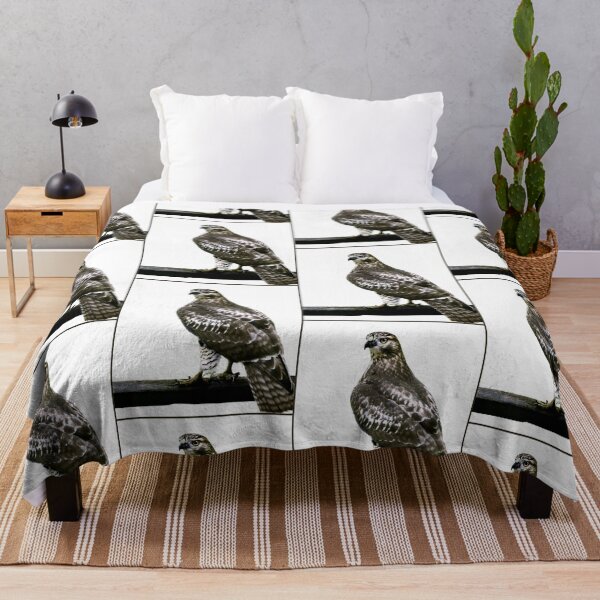 Item preview, Hawk designed and sold by Laurie Minor.