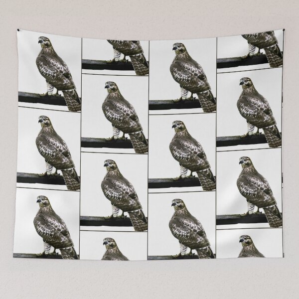 Item preview, Hawk designed and sold by Laurie Minor.