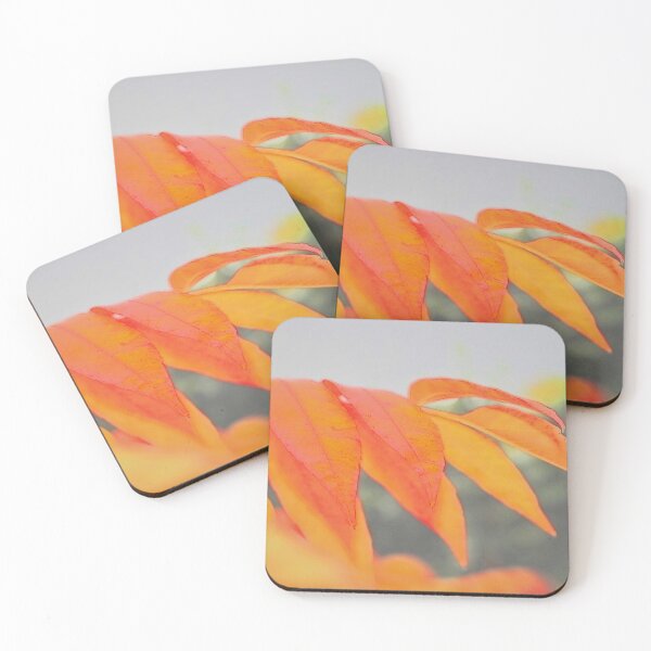 Item preview, Gorgeous in Fall  designed and sold by NatureGo.