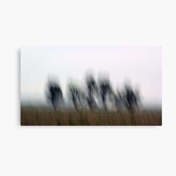 Five Trees Canvas Print