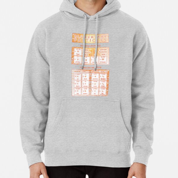 Elementary Particles of the Standard Model Pullover Hoodie