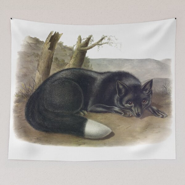 Item preview, American Black or Silver Fox - James Audubon designed and sold by billythekidtees.
