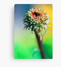 Brave new world Canvas Print