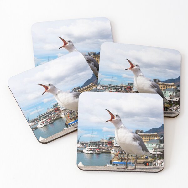 Item preview, Hartlaubs gull. designed and sold by Jurie Maree.