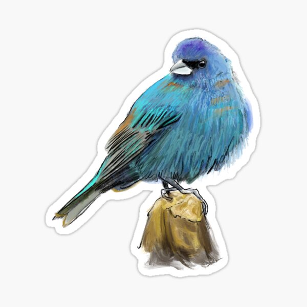 Item preview, Indigo Bunting  designed and sold by Ryan Biddle.