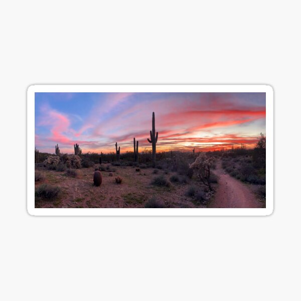 Sonoran Sunset Sticker