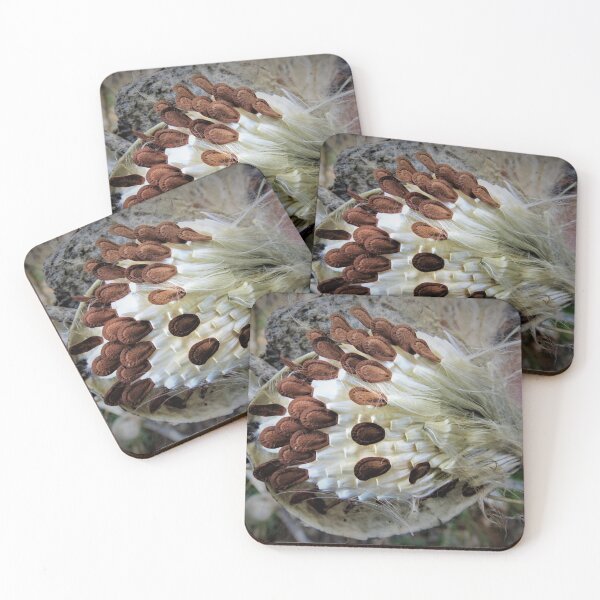 Item preview, Milkweed Gone To Seed designed and sold by Diane Arndt.
