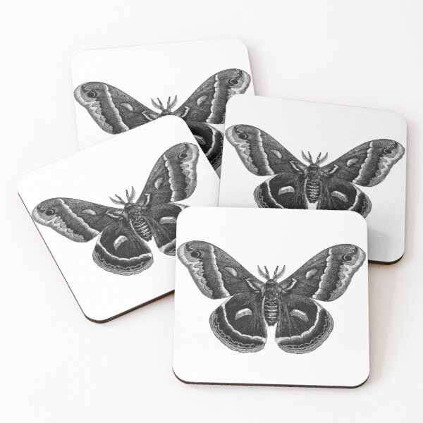 Item preview, Moth designed and sold by kbeck15.