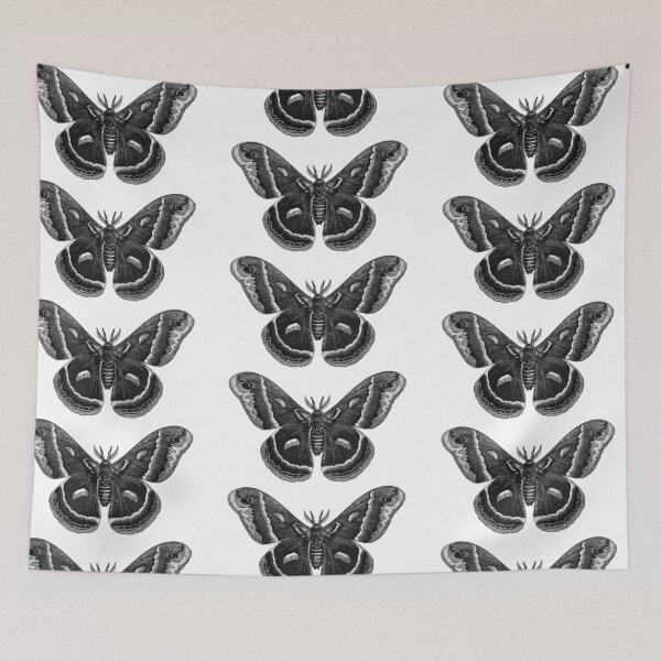 Item preview, Moth designed and sold by kbeck15.