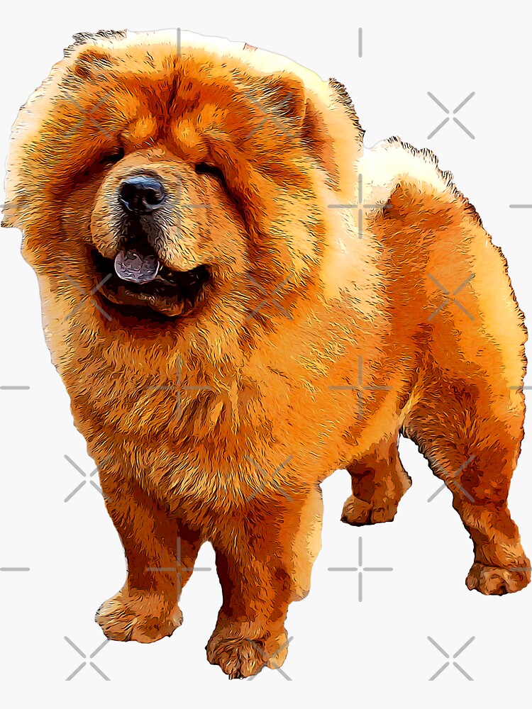 Adorable 2025 chow chow