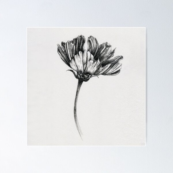 Item preview, Cosmos designed and sold by Marilou  Frias.