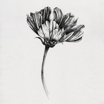 Artwork thumbnail, Cosmos by Marilou Frias