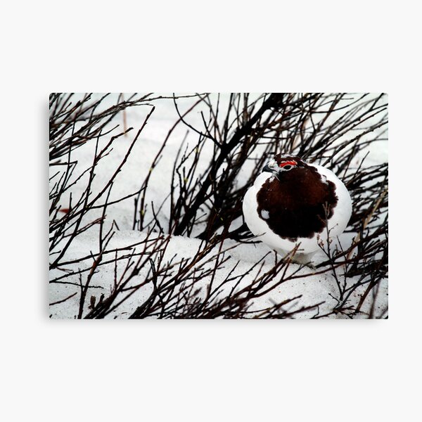 Item preview, Willow Ptarmigan designed and sold by May-Le Ng.