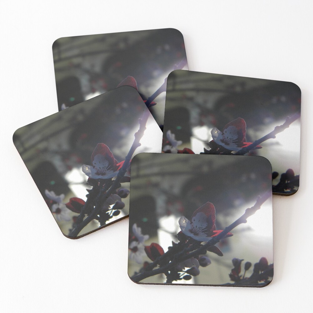 Item preview, Coasters (Set of 4) designed and sold by NatureRaven.