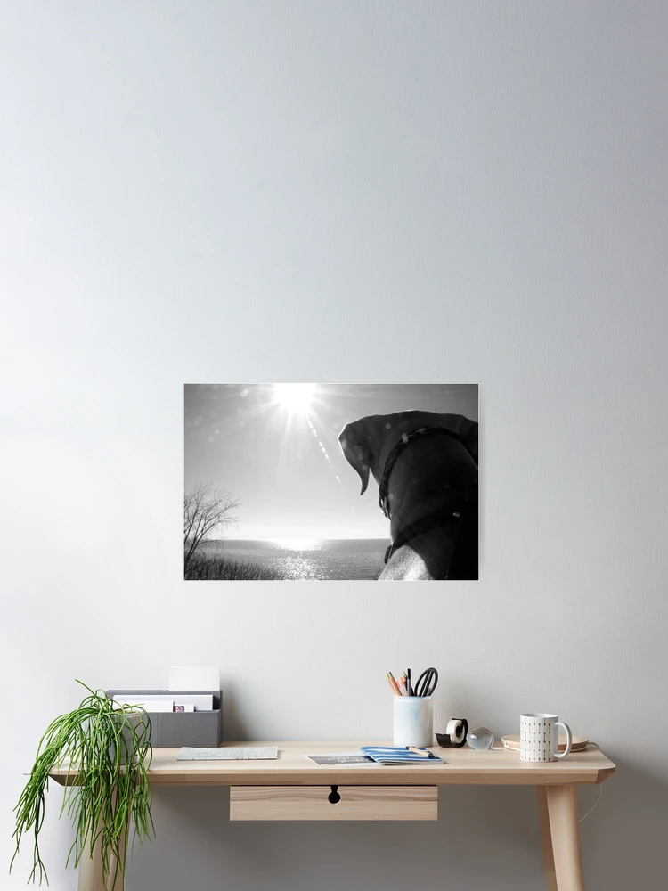 Thumbnail 2 of 3, Poster, Spring Forward designed and sold by Jessica Dzupina.