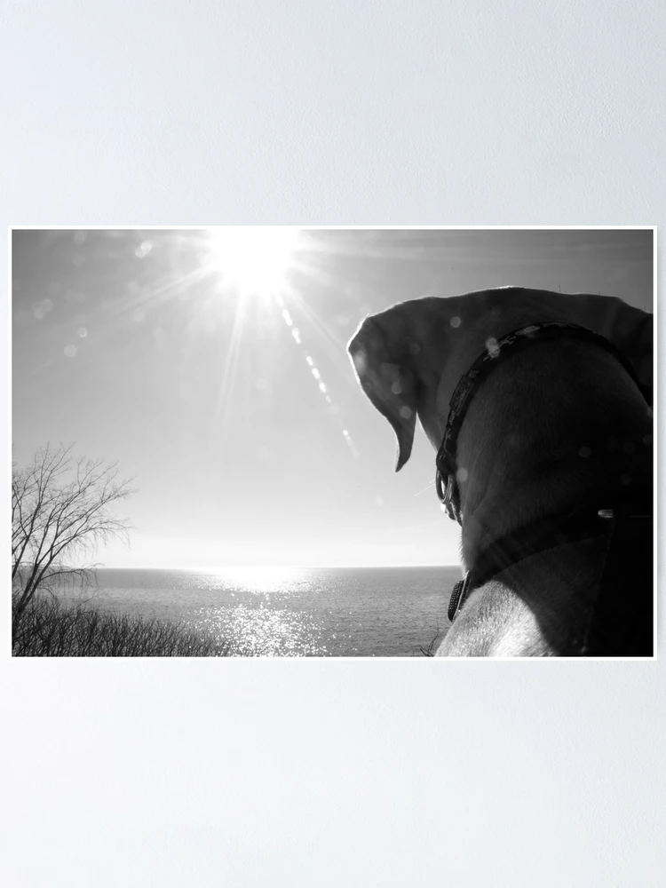 Thumbnail 1 of 3, Poster, Spring Forward designed and sold by Jessica Dzupina.