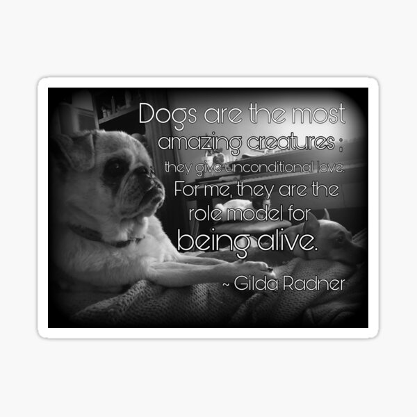 Dogs Unconditional Love Quotes Ubicaciondepersonas cdmx gob mx