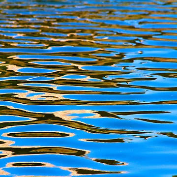 Artwork thumbnail, Reflection Patterns by Sue Cullumber
