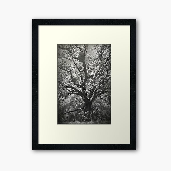 A Life Worth Living Framed Art Print