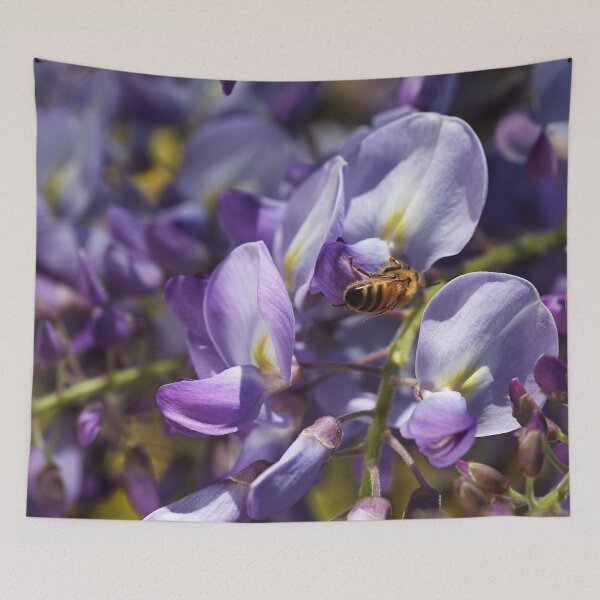 Item preview, Bee Feasting On Wisteria designed and sold by Joy Watson - Natural Light Photography .