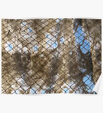 Ghost Net Poster