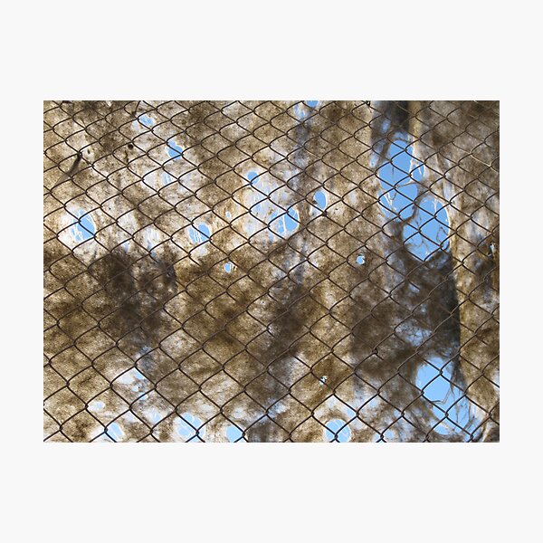 Item preview, Ghost Net designed and sold by John Douglas.