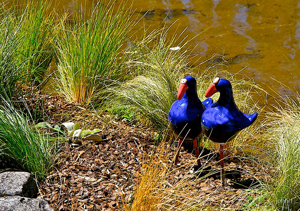"Garden ornamental birds, New Zealand." by johnrf Redbubble