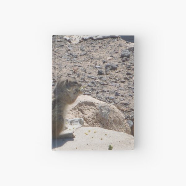 barbaric ground squirrel Hardcover Journal