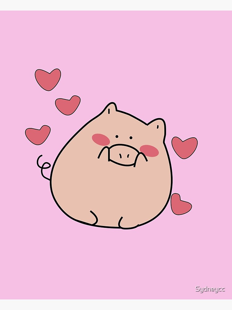 bashful pig