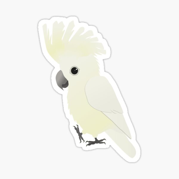White umbrella cockatoo Sticker