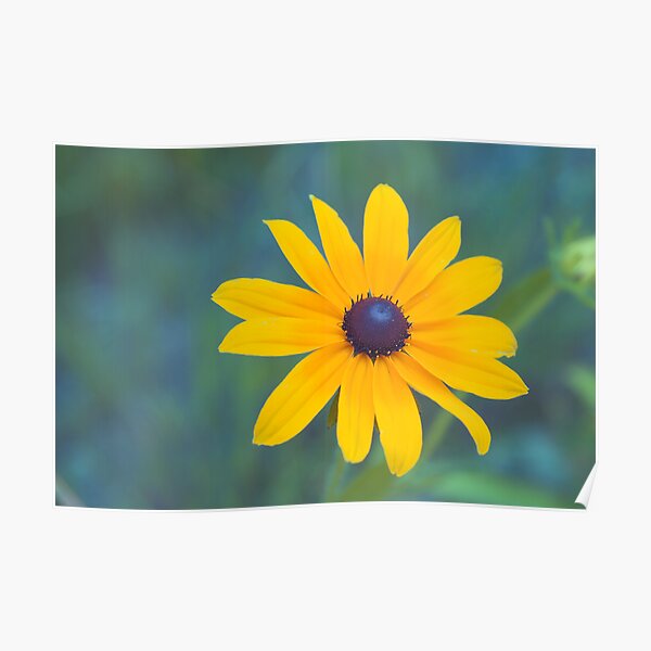 beauty is in the simplest things Poster
