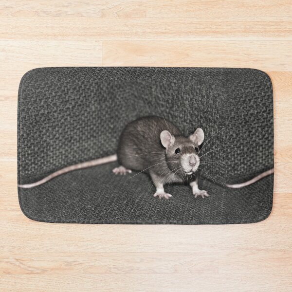 Item preview, Curious Rat designed and sold by yurix.
