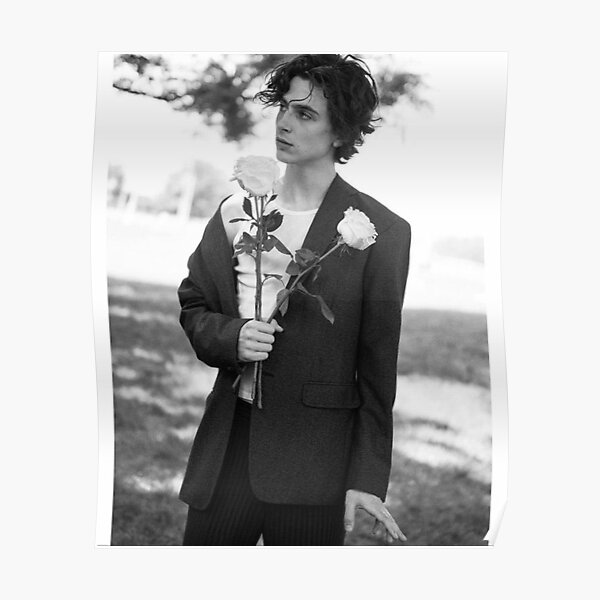 Timothee Chalamet Poster