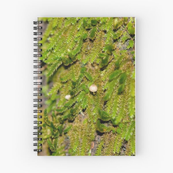 Item preview, Moss and mushroom in tree designed and sold by Antonio Pizarro Mendez.