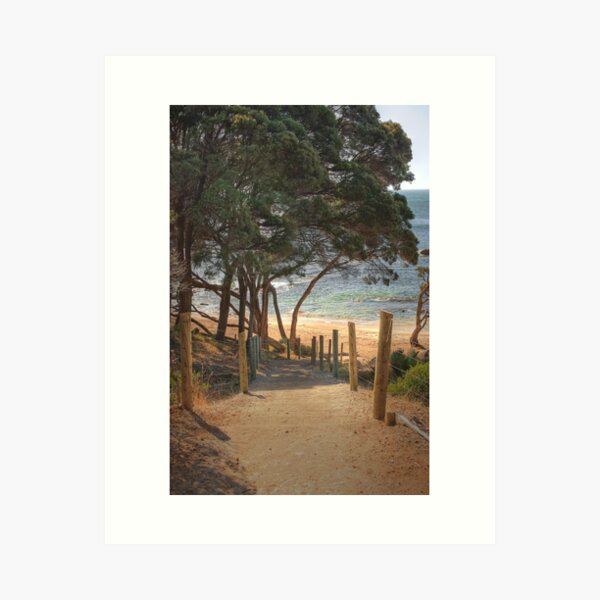 Bunker Bay #2, Western Australia Art Print