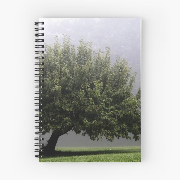 Item preview, 24.9.2015: Lonely Apple Tree designed and sold by Petri Volanen.