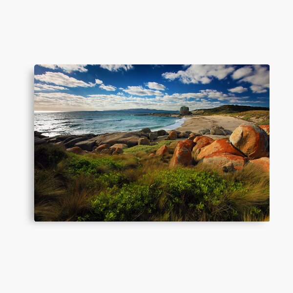 Evening Sun - Flinders Island, Tasmania Canvas Print