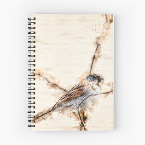 Item preview, The Common Reed Bunting  designed and sold by Darren Wilkes.