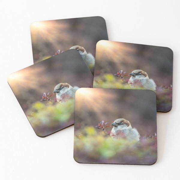 Item preview, Finch In The Sunlight designed and sold by mljdwhite.