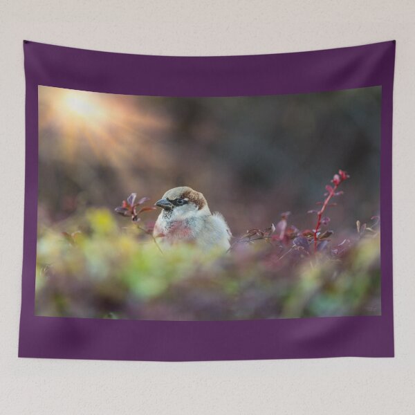 Item preview, Finch In The Sunlight designed and sold by mljdwhite.