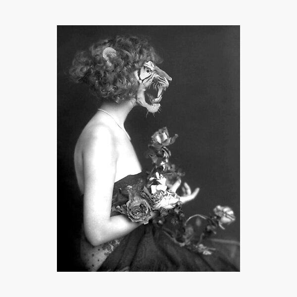 Tigress Photographic Print
