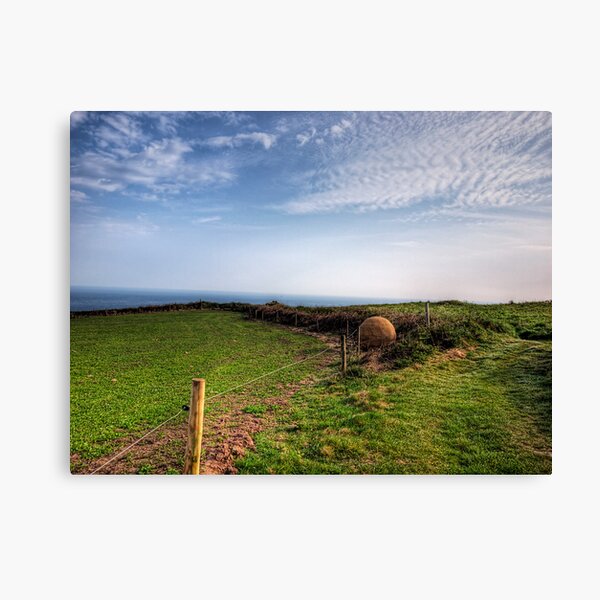 An "Alderney Stone" - Andy Goldsworthy Canvas Print