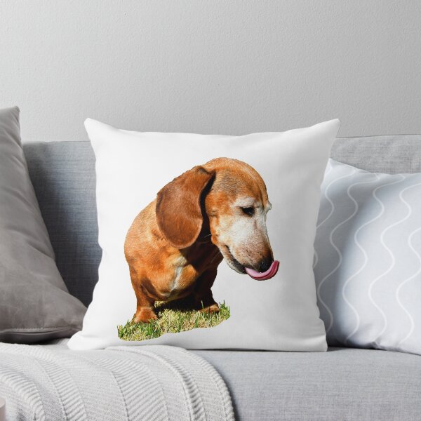 Item preview, Sausage Dog With Her Tongue Out designed and sold by Jason Gilbert.