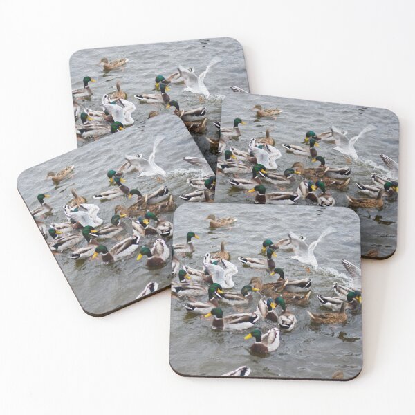 Item preview, Survival Of The Fittest designed and sold by Ireland Photography.